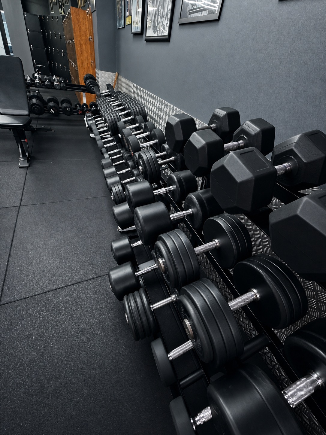 Zona de mancuernas de Gimnasio Nuevo Estilo Fuengirola