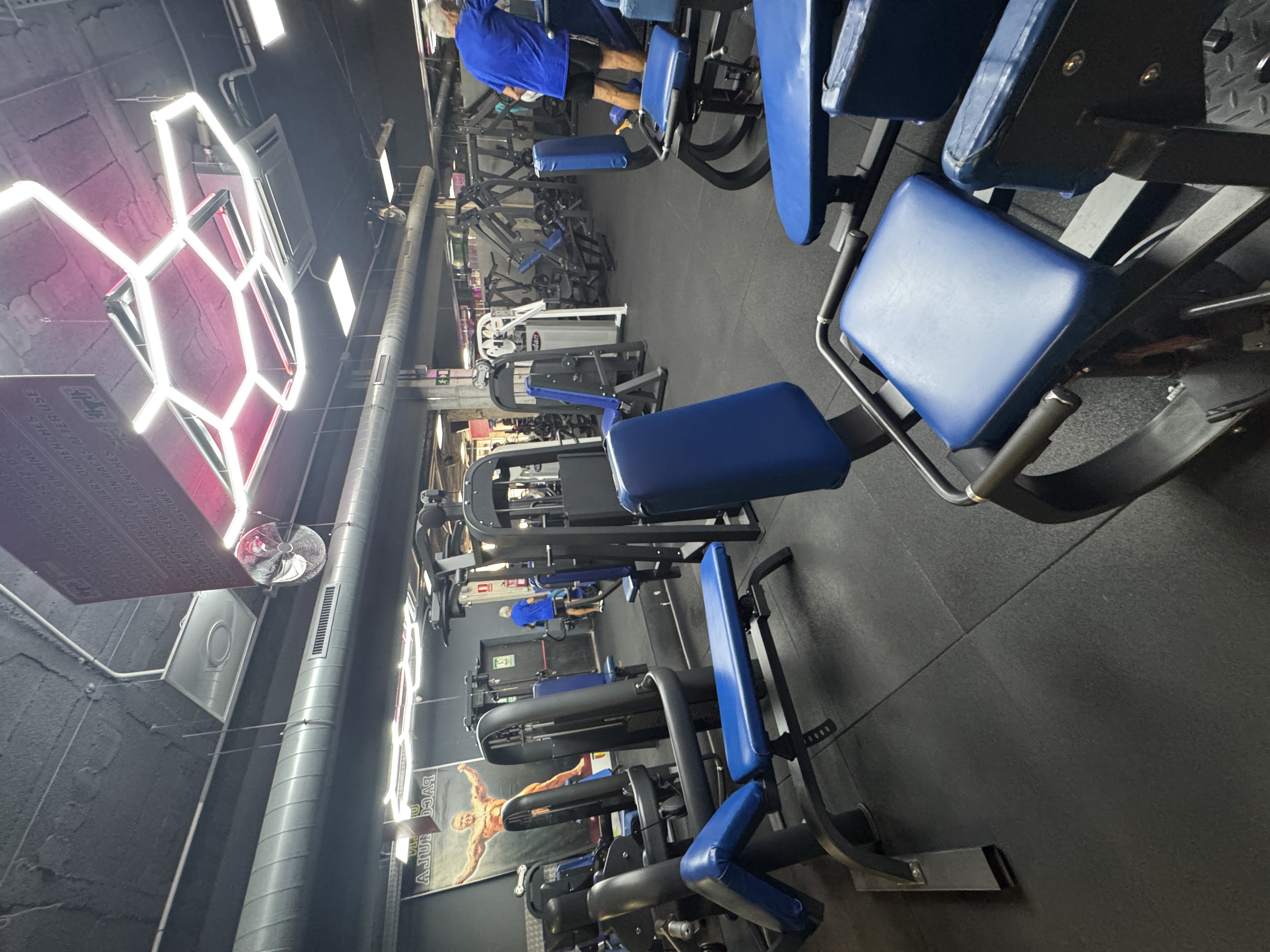 Zona de máquinas guiadas con bancos azules en Gimnasio Nuevo Estilo Fuengirola