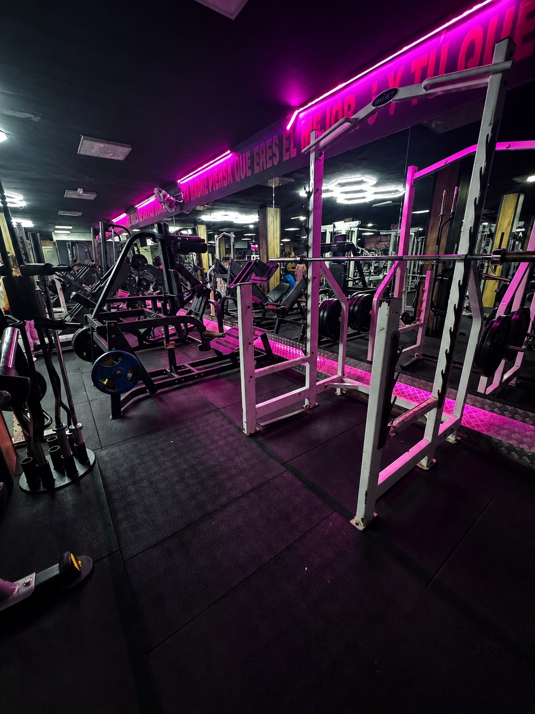 Zona de barras, rack y material de fuerza en Gimnasio Nuevo Estilo Fuengirola