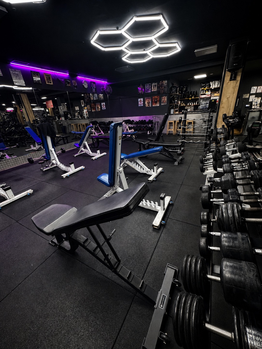 Zona de peso libre con bancos, mancuernas y barras en Gimnasio Nuevo Estilo Fuengirola