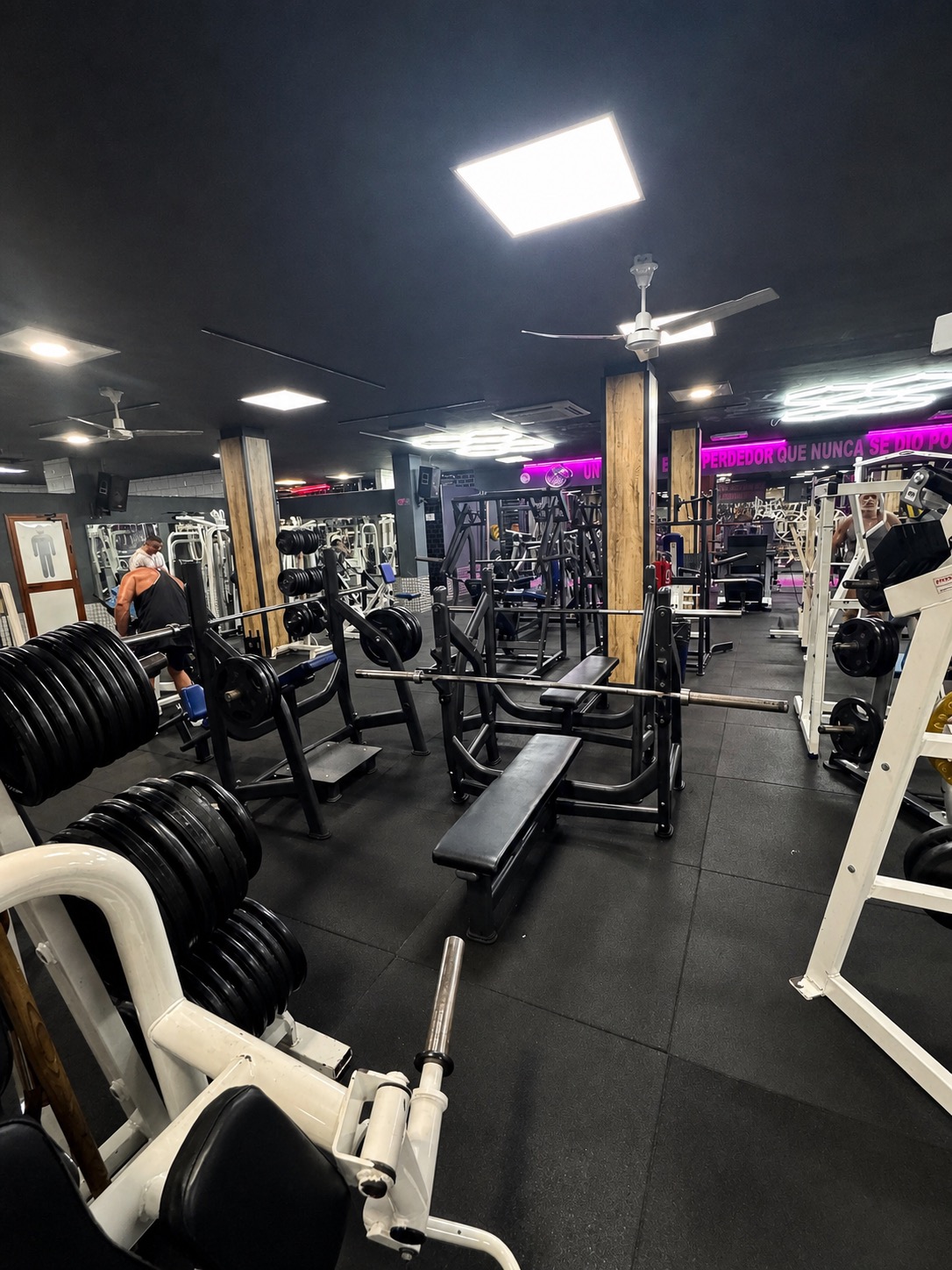 Zona de press banca y bancos de Gimnasio Nuevo Estilo Fuengirola